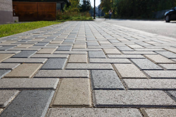 Best Affordable Driveway Paving  in Hillsboro, ND