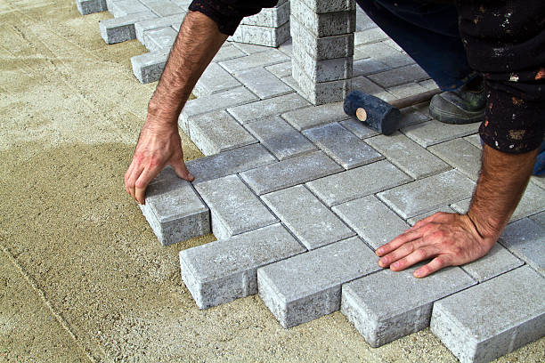 Best Residential Paver Driveway  in Hillsboro, ND